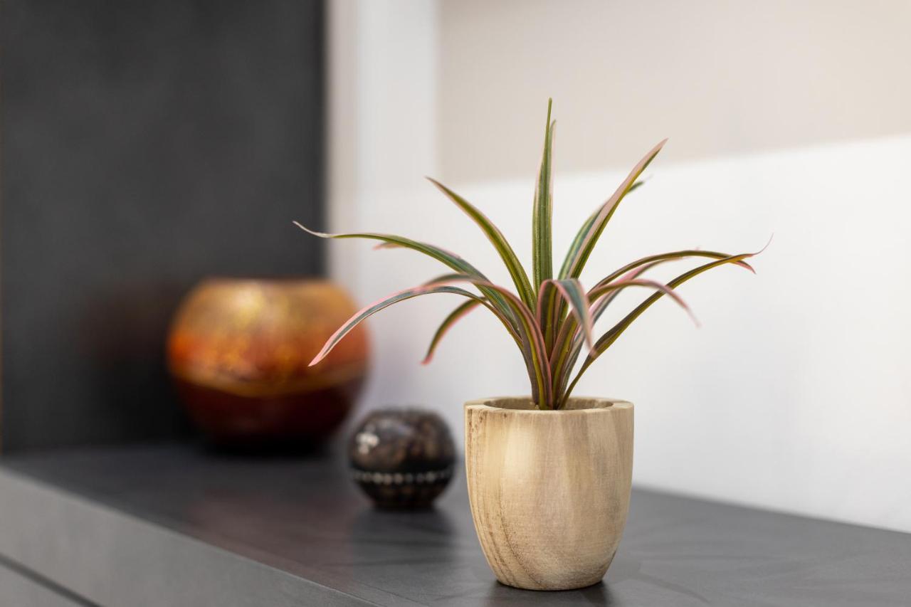 E-Home Apartments 瓦爾納 外观 照片